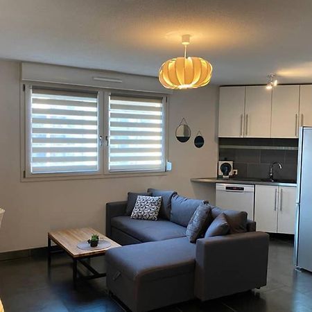 F2 Au Calme, Proche Gare, Center Parc, Sainte Croix Apartment Sarrebourg Ngoại thất bức ảnh