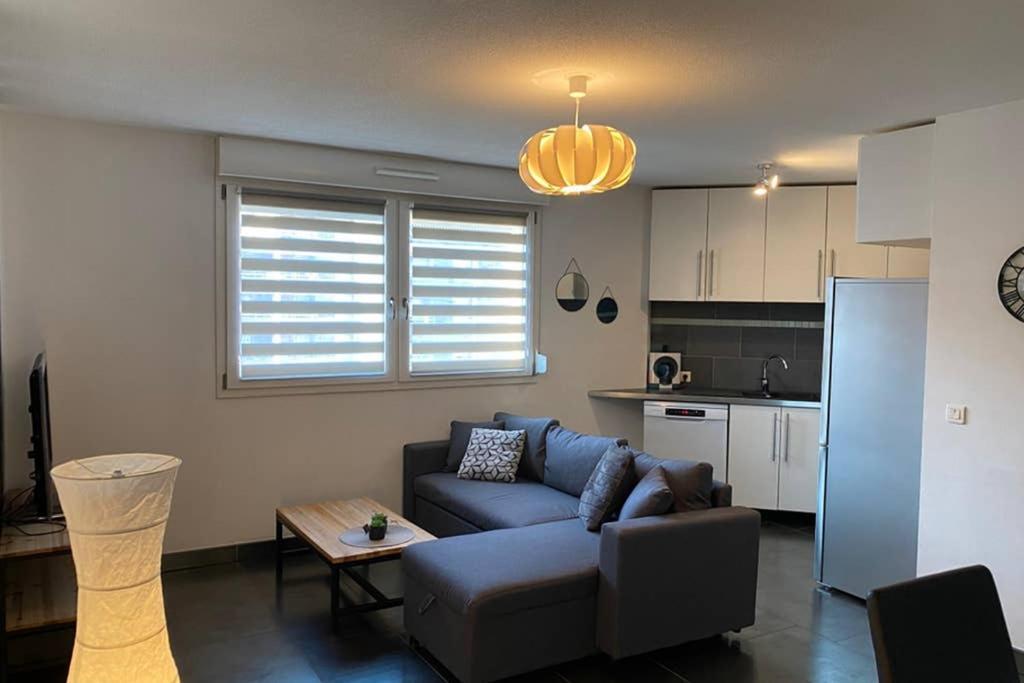 F2 Au Calme, Proche Gare, Center Parc, Sainte Croix Apartment Sarrebourg Ngoại thất bức ảnh